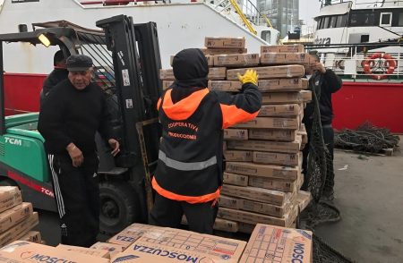 Mar del Plata: la caída de las cargas deja sin trabajo a la mitad de los estibadores, advierte el SUPA