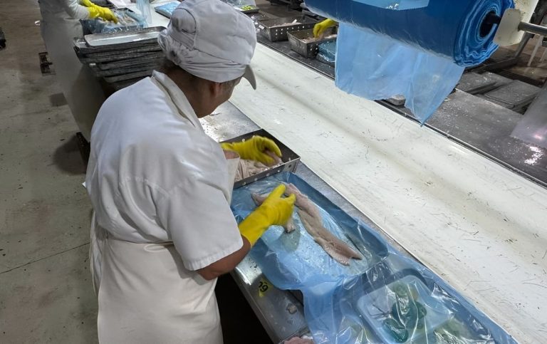 El Censo Pesquero registró 5.137 empleos en 78 plantas y midió una ocupación laboral del 70%