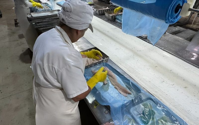 El Censo Pesquero registró 5.137 empleos en 78 plantas y midió una ocupación laboral del 70%