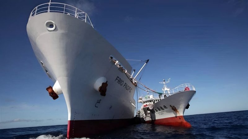 Malvinas y pesca ilegal: un proyecto en Diputados apunta al recorrido comercial de las capturas