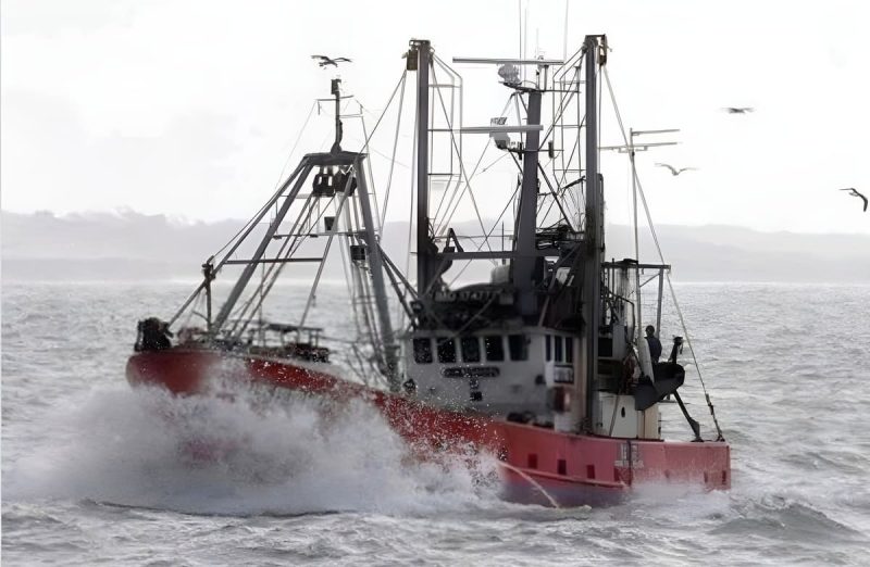 Pesca Nación prevé cerrar la temporada de langostino en aguas nacionales el 13 de septiembre