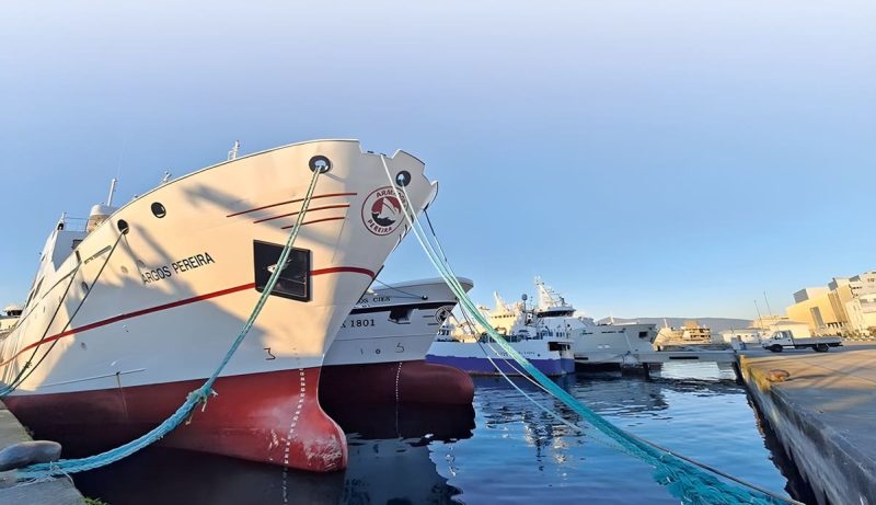 Malvinas apunta a la merluza para recuperar el Loligo