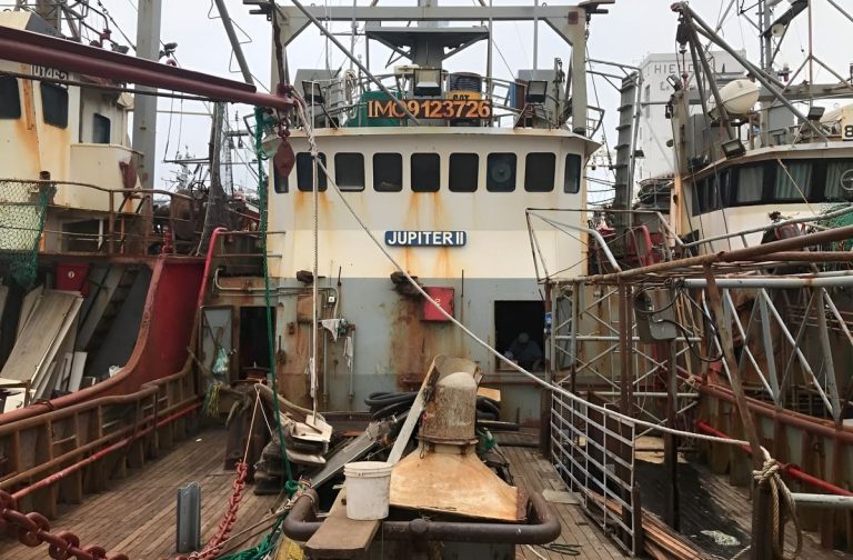 Acta CFP N° 24/2026: langostino, calamar y nuevas medidas para la centolla marcaron la agenda