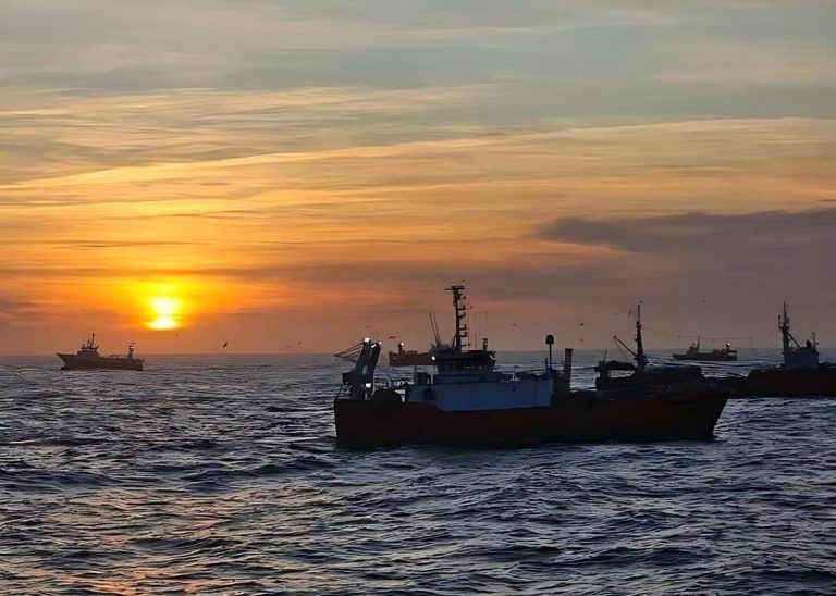 Pesca cierra la Subárea 16 por exceso de captura incidental de merluza
