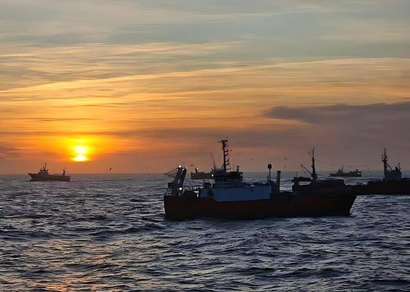 Pesca cierra la Subárea 16 por exceso de captura incidental de merluza