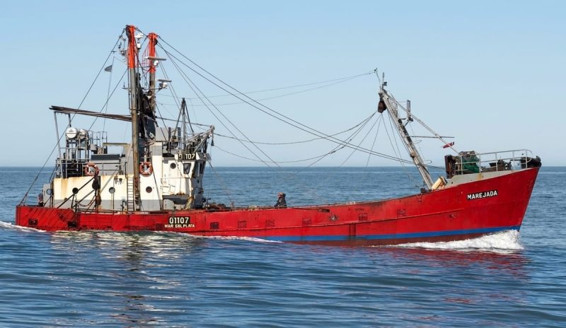 Langostino 2026: Pesca cierra las últimas subáreas y pone fecha al último despacho