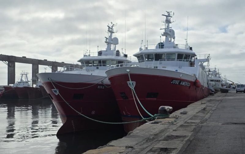 Langostino 2026 cerraría por encima de las 130 mil toneladas en aguas nacionales