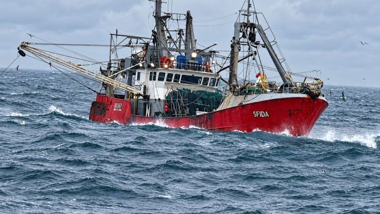 Langostino: CAPEAR ALFA rechaza las 50.000 toneladas que reclama Santa Cruz