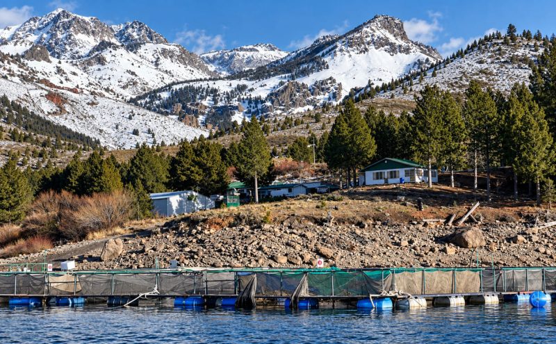 Puerto Madryn reunirá a científicos, empresas y autoridades para impulsar el desarrollo de la acuicultura