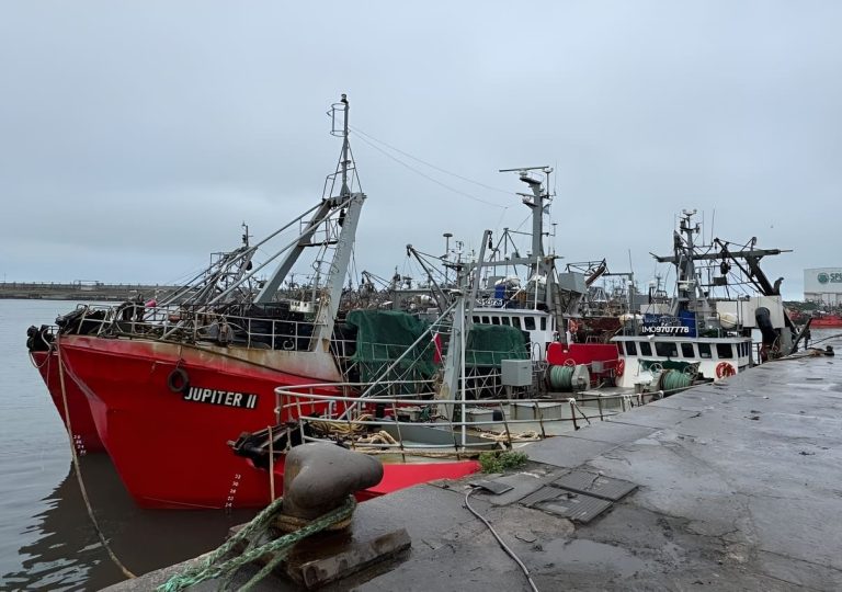 Caballa: las descargas caen 76% y la flota recurre a la anchoíta