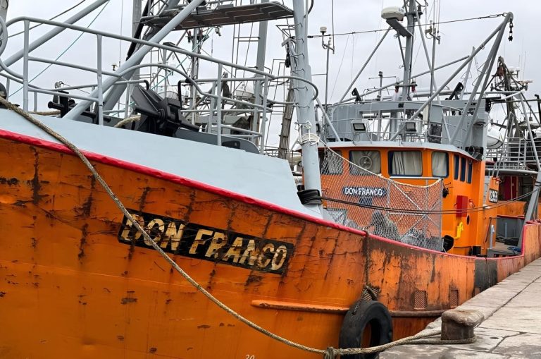 Nuevas medidas en la Zona Común de Pesca: límites de captura y veda para juveniles de merluza