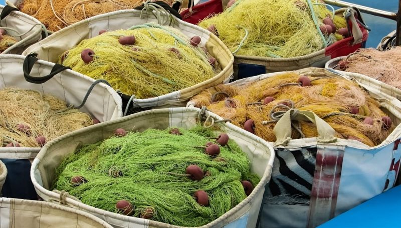 Europa transforma residuos pesqueros en productos de alto valor industrial