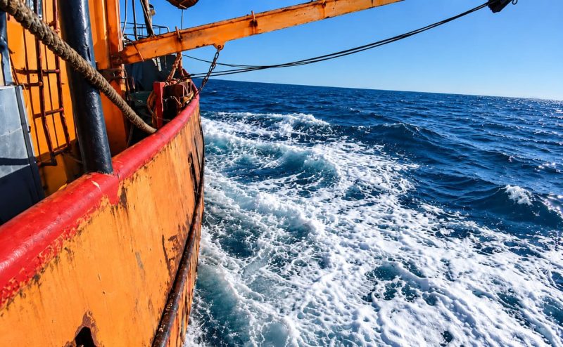 Chubut suspende la prospección de langostino en el sur por elevada presencia de merluza