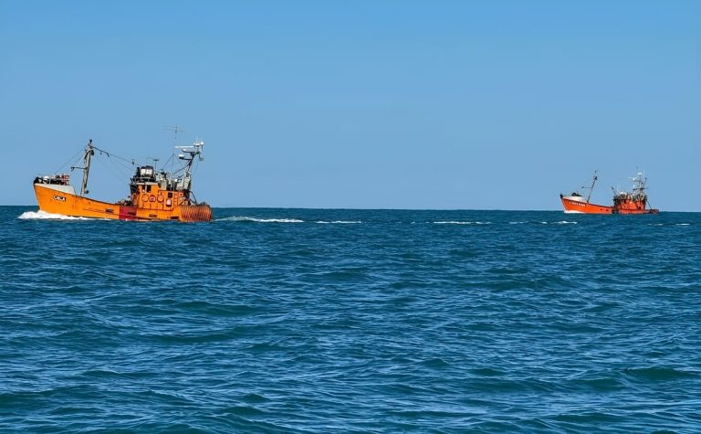 Pesca costera: la paradoja de perder dinero trabajando