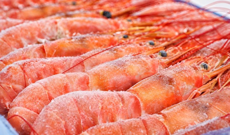 El langostino argentino llega a Conxemar con sello MSC y presencia en las góndolas españolas