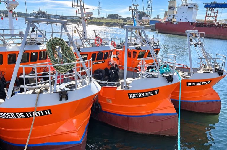Chubut aprobó cambios en permisos artesanales para operar en Camarones