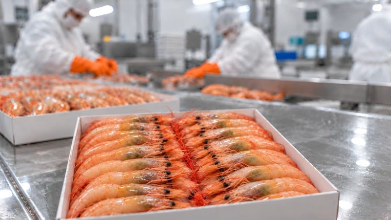 Conarpesa: tres gremios alertan por el riesgo para la temporada de langostino